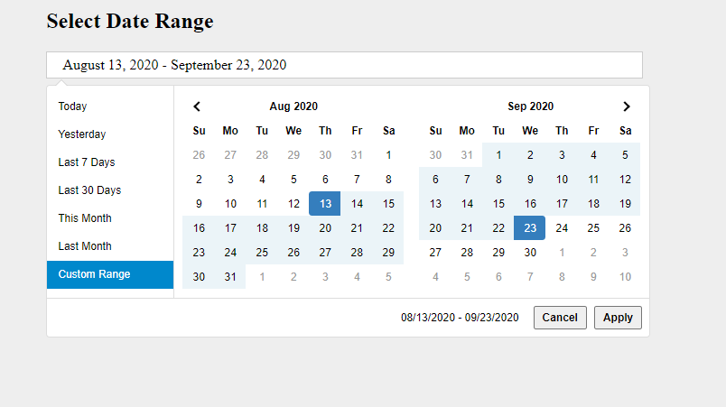 How to Add Date Ranger Picker and Custom Date Picker